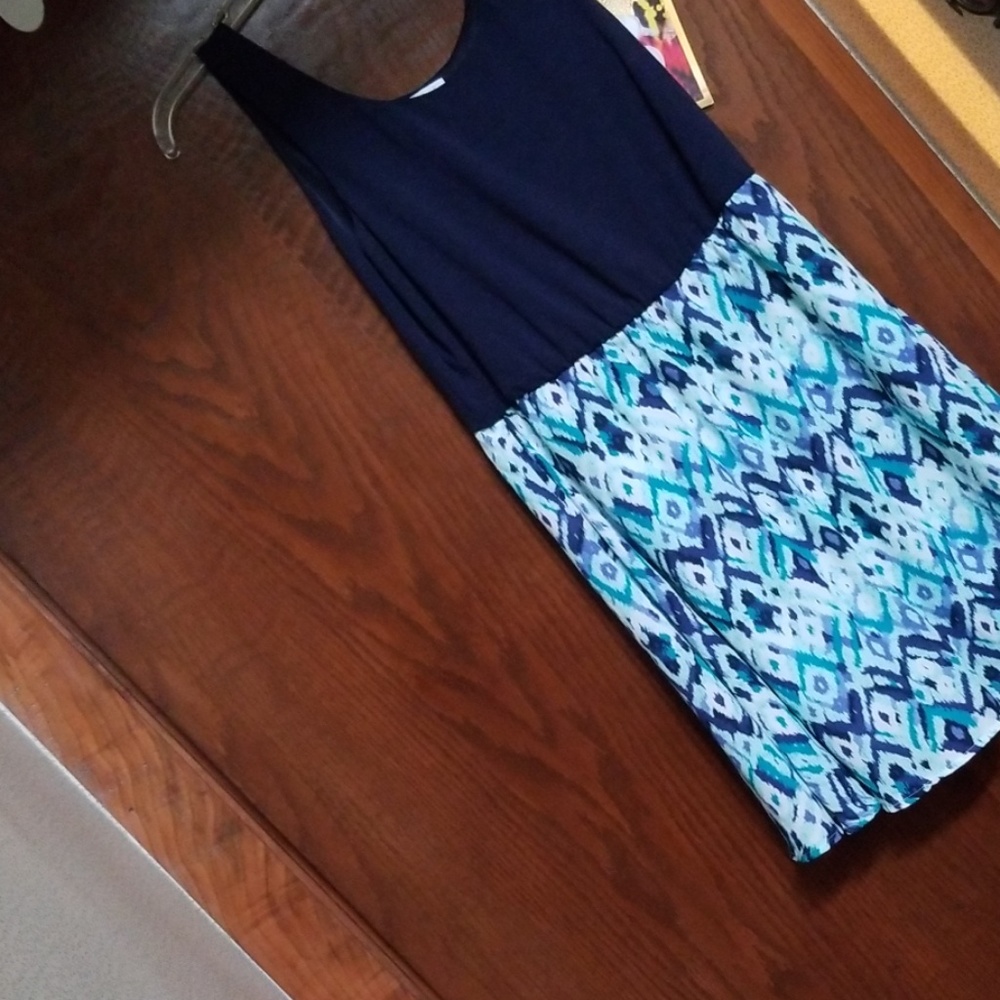 Charming Charlie dress